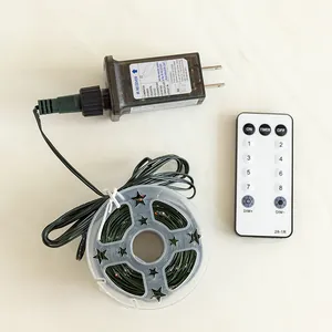 Detailed view of the Christmas string lights with remote control and US power adapter.