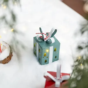 Mini boîte cadeau de Noël lumineuse en fer de style nordique dans un décor de neige