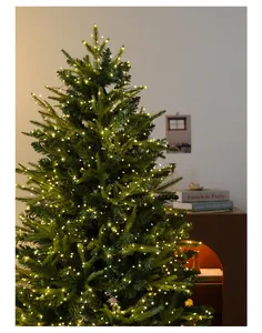 Detail of warm white LED cluster string lights glowing on a lush green Christmas tree