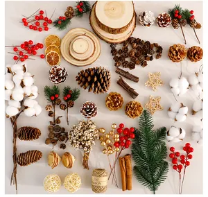 Sortiment an natürlicher Weihnachtsdeko mit Tannenzapfen, Holzscheiben und Beeren für Feste