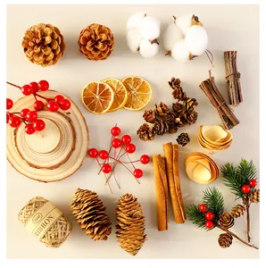 Sammlung von Tannenzapfen Holzscheiben und Trockenorangen für Weihnachtsdeko