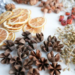 Close-up of assorted natural dried fruit and floral mix for DIY Christmas decorations