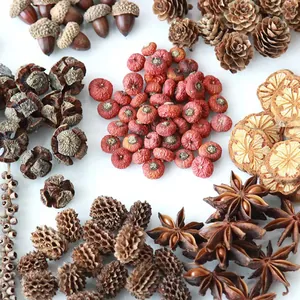 Close-up detail of natural dried fruits, pine cones, and star anise for DIY crafts