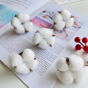 Close-up view of five natural dried cotton flower heads on a creative lifestyle magazine