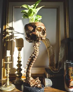 Jardinière crâne en bronze gothique avec support de colonne vertébrale réaliste décor vintage