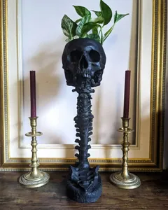 Pot de fleurs crâne noir gothique avec support réaliste en colonne vertébrale