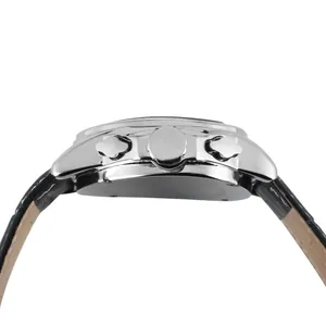 Close-up side view showing the crown and pushers of a silver mechanical watch case.