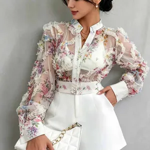 Elegant French floral chiffon shirt with ruffles and sheer mesh long sleeves.