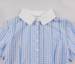 Detail of a retro blue and white gingham dress featuring a crisp white Peter Pan collar