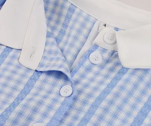Macro view showing the white shirt collar and button details of a blue checkered vintage dress