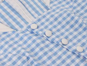 Close-up of blue and white gingham dress with white collar and round button details.