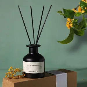 Moderner mattschwarzer Raumdiffusor mit aromatischem Duftöl und schwarzen Stäbchen.