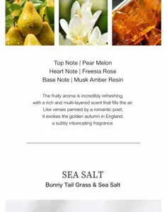 Fragrance profile detail showing notes of Wood Sage, Sea Salt, and Pear with Freesia
