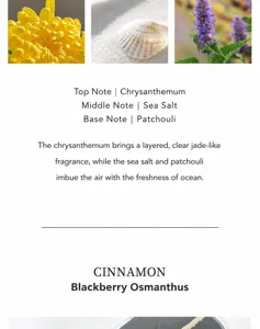 Detailed description of Wood Sage and Sea Salt fragrance notes with fresh scent profile