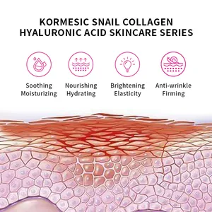 Illustrazione dettagliata dei benefici del collagene di lumaca sulla struttura della pelle
