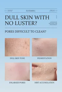 Detail view of skin concerns like dullness and enlarged pores for Vitamin C facial care.