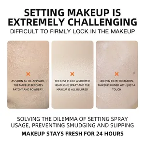 Detailed illustration of makeup setting spray solving common skin issues like oiliness