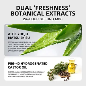 Detailed info of 24-hour makeup setting spray botanical extracts including aloe vera