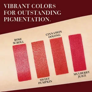 Campioni di rossetto opaco sulla pelle con intensa pigmentazione in quattro tonalità moda