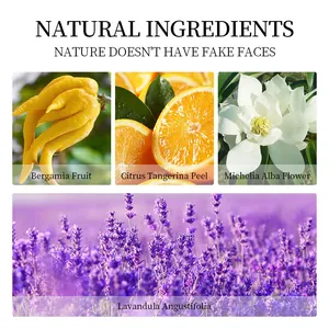 Natural ingredients overview showing Bergamot, Citrus and Lavender for the contour stick