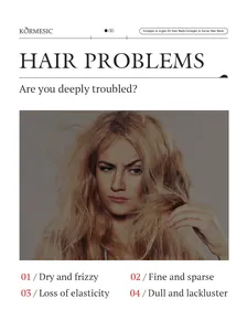 Visual guide identifying common hair problems treated by KORMESIC collagen and argan oil hair mask