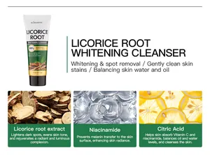 Details van Licorice Root Whitening Cleanser met niacinamide en citroenzuur voor huidverzorging