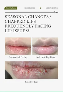 Detailed close-up showing lip problems like dryness, peeling, and sensitivity for balm.