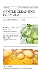 Detailed breakdown of KORMESIC amino acid facial cleanser ingredients and benefits.