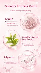 Vista dettagliata degli ingredienti della maschera di fango con caolino e tè verde