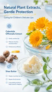 Detailed view of Shea Butter and Calendula ingredients in moisturizing children's lip balm