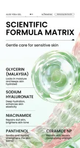 Detailed scientific formula breakdown for KORMESIC moisturizing aloe vera gel