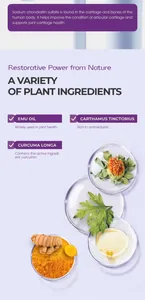 Detailed macro view showing natural plant ingredients for soothing pain relief gel