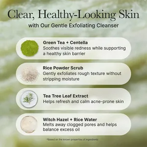 Primo piano degli ingredienti del Fresh Green Rice Mochi Cleanser per un'esfoliazione delicata.