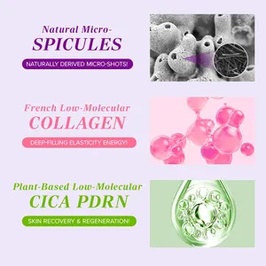 Spicule Collagen PDRN face cream infographic detailing active skincare ingredients