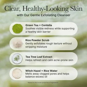 Infografica ingredienti Fresh Green Rice Mochi Cleanser per pelle sana
