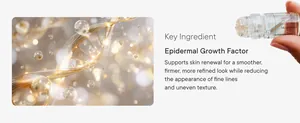 Makroansicht des Mikro-Infusionsgeräts und Details zum EGF-Hautpflege-Serum