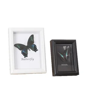 White and black 3D shadow box frames with real butterfly specimens for DIY home decor