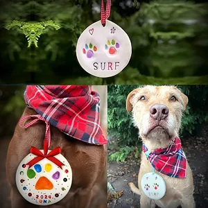 DIY pet paw print memorial ornament kit with colorful rainbow prints on a dog.