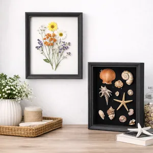 Cadres vitrines noirs élégants exposant des fleurs séchées et des coquillages sur un bureau.