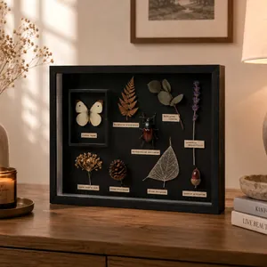 Détail de la boîte de présentation de mini-musée DIY avec divers spécimens et étiquettes