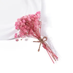 Detailaufnahme eines Mini-Bouquets aus getrocknetem rosa Schleierkraut mit Juteschnur