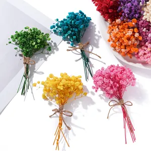 Mini Trockenblumenstrauß Schleierkraut Natürliche Konservierte Gypsophila Für DIY Geschenkbox Karte Foto Rahmen Home Hochzeit Deko