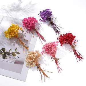 Sortierte Mini-Trockenblumensträuße aus Schleierkraut in sechs Farben für DIY.