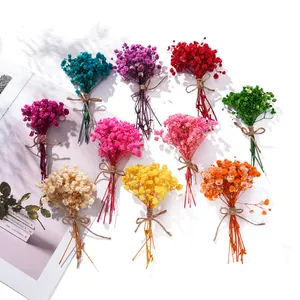 Bunte Mini-Trockenblumensträuße aus Schleierkraut für DIY-Basteleien und Geschenkdekorationen.