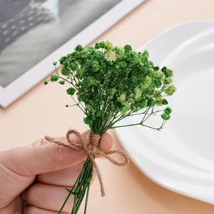 Detailansicht eines mini grünen getrockneten Schleierkraut-Bouquets für DIY-Dekorationen