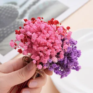Detaillierte Nahaufnahme bunter Mini-Schleierkraut-Trockenblumen für DIY Deko