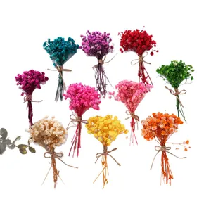 Set bunter Mini-Trockenblumensträuße aus Schleierkraut für DIY-Geschenkkartendekoration