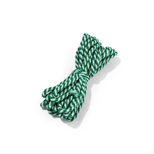 Détail en gros plan de la texture de la corde en coton tressé bicolore vert et blanc