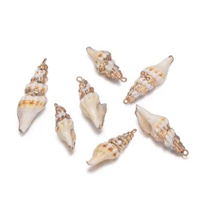 Set de 6 colgantes de conchas naturales con bordes dorados para crear joyas DIY
