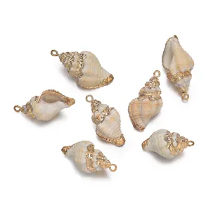 Set de colgantes de concha natural con bordes dorados para la creación de joyas DIY